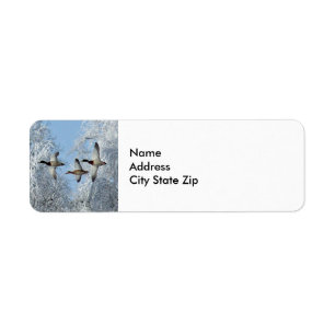 Étiquette Photo de Mallard Duck Flying Snow