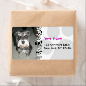 Étiquette Photo de Schnauzer miniature (En situation)