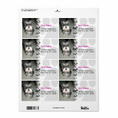 Étiquette Photo de Schnauzer miniature (Feuille entière)