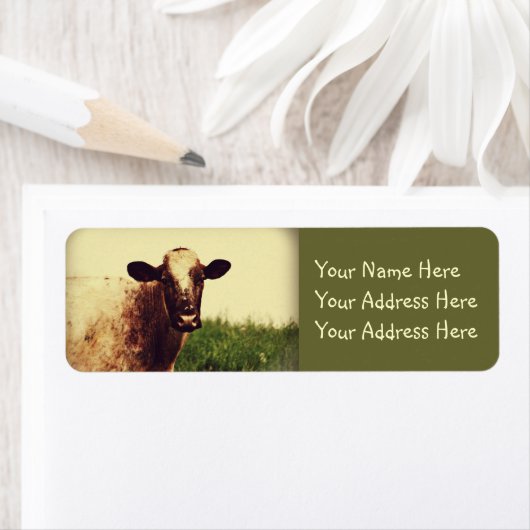 Étiquette Photo de vache (En situation)