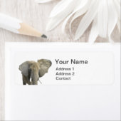 Étiquette Photo d'éléphant animal (En situation)