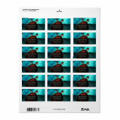 Étiquette photo Hawaii Turtle (Feuille entière)