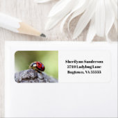 Étiquette Photo Ladybug (En situation)