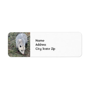Étiquette Photo Opossum