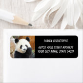 Étiquette Photo panda géant, animaux 0344. (En situation)