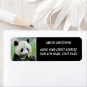 Étiquette Photo panda géant, animaux 0345. (En situation)