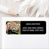 Étiquette Photo panda rouge, animaux 0530. (En situation)