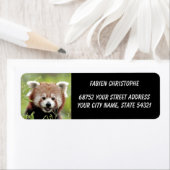 Étiquette Photo panda rouge, animaux 0533. (En situation)