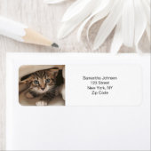 Étiquette Photo personnalisée pour animaux (En situation)