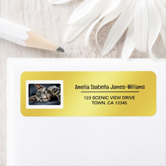 Étiquette Photo Pet Cat Elégant Moderne Adresse de retour Go (En situation)