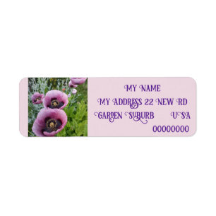 Étiquette Photo Pink Poppy Poppies Retourner l'adresse Étiqu