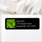 Étiquette Photographie botanique verte de Bromeliad (En situation)