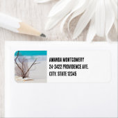 Étiquette Photographie de Coquillages sur une plage de sable (En situation)