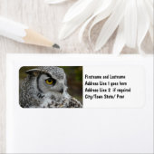 Étiquette Photographie de la Chouette à grande corne (En situation)