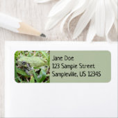 Étiquette Photographie de la nature du Gris oriental (En situation)