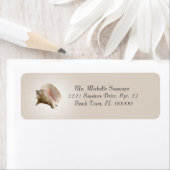 Étiquette Photographie de l'interpréteur de commandes Conch (En situation)