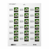 Étiquette Photographie d'oiseau sauvage - American Bald Eagl (Feuille entière)