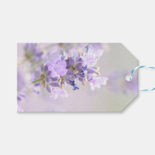 Étiquette photographique de cadeau de Bokeh de