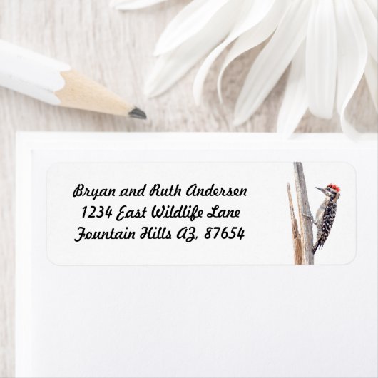 Étiquette Pic à épaulettes (En situation)