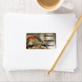 Étiquette Pic à ventre rouge (En situation)