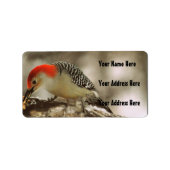 Étiquette Pic à ventre rouge (Devant)