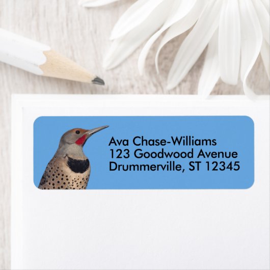 Étiquette Pic de Flicker du Nord au soleil (En situation)