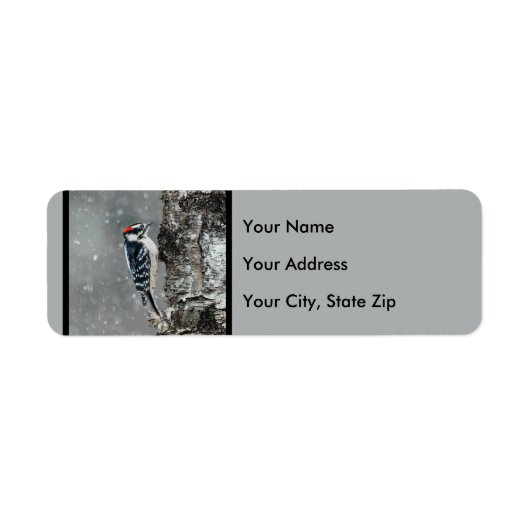 Étiquette Pic Downy en neige - Photo originale (Devant)