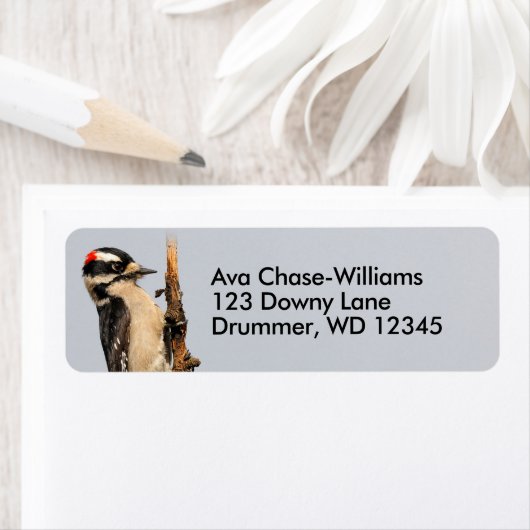 Étiquette Pic Downy mou sur arbre aux fruits (En situation)