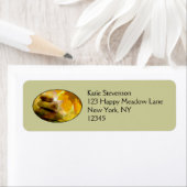 Étiquette Pierre de méditation zen et Feuilles de l'érable (En situation)