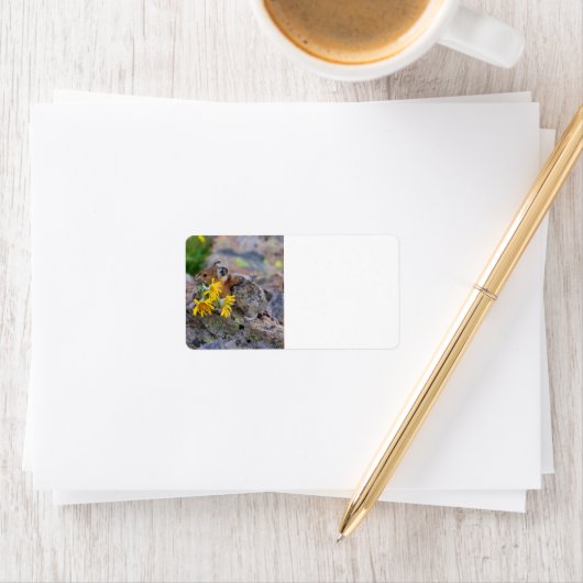 Étiquette pika (En situation)