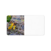 Étiquette pika (Devant)