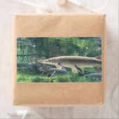 Étiquette Pike fish (En situation)