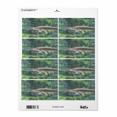 Étiquette Pike fish (Feuille entière)