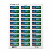 Étiquette Pilier et Jets dans la Carina Nebula & Stars, ZGOS (Feuille entière)