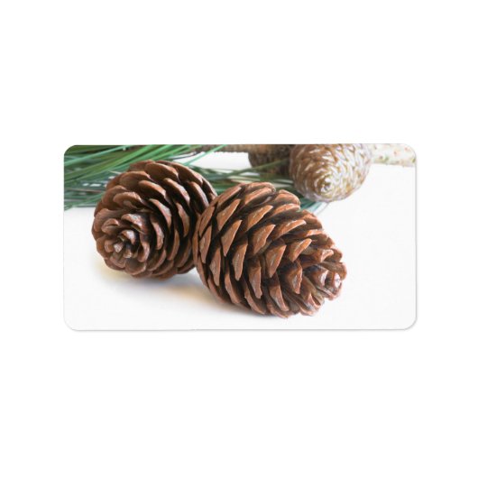 Étiquette Pine branch and cones (Devant)