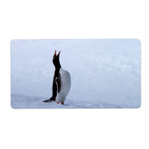 Étiquette Pingouin Gentoo