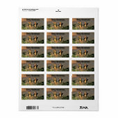 Étiquette Pingouins de Noël (Feuille entière)