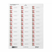 Étiquette Pink and White Daisies Return Address Label (Feuille entière)