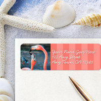 Pink flamingo amis photo script personnalisé adres
