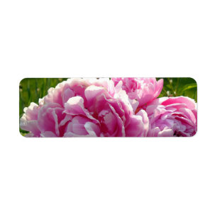 Étiquette Pink Peony photo cottage ferme jardin fleuri