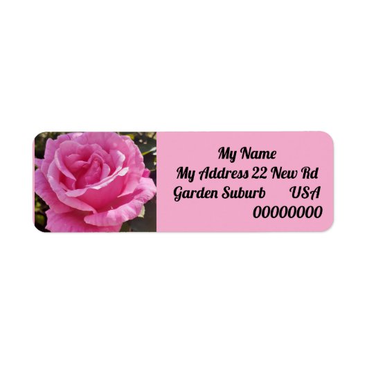Étiquette Pink Rose Flower Floral Return Address Labels (Devant)
