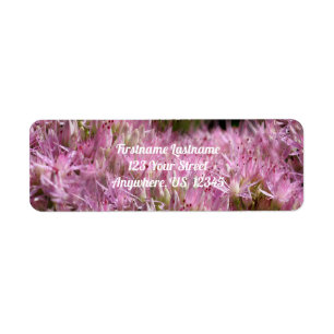 Étiquette Pink Sedum Autumn Flowers Multiplié Adresse