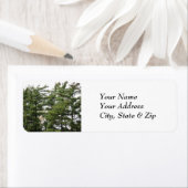 Étiquette Pins (En situation)