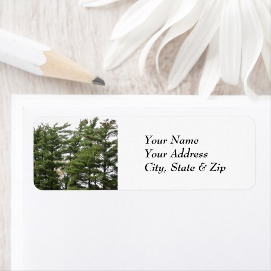 Étiquette Pins (En situation)