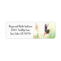 Pipevine Swallowtail papillon à la lumière de l'ap