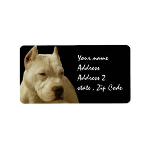 Étiquette Pitbull blanc Terrier