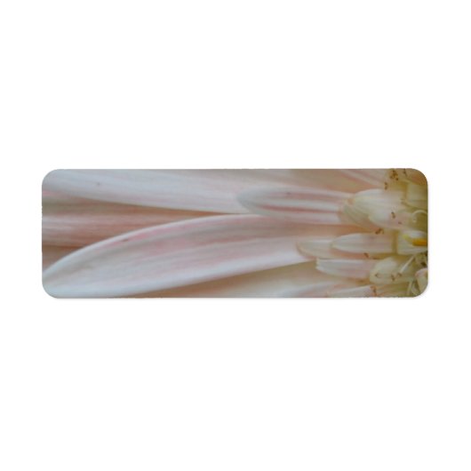 Étiquette Plante de la Fleur Cure (Devant)