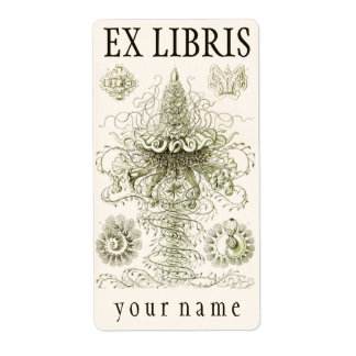 Étiquette Plaque d'accueil Ernst Haeckel Siphonophorae