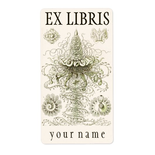 Étiquette Plaque d'accueil Ernst Haeckel Siphonophorae (Devant)