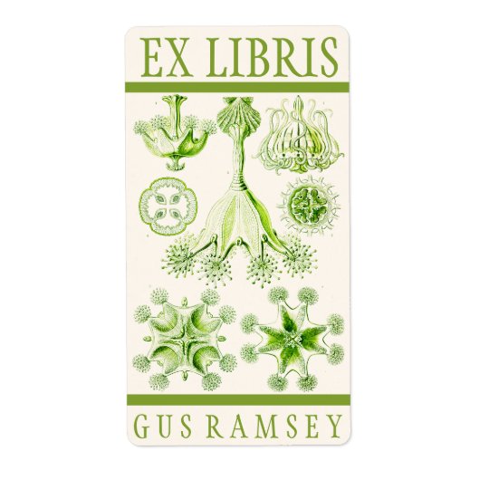 Étiquette Plaque de réservation Ernst Haeckel Stauromedusae (Devant)